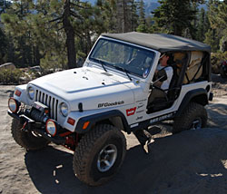 White Tj