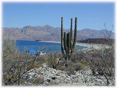 Foto von Bahia de las Animas